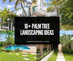 Check spelling or type a new query. 16 Best Palm Tree Landscaping Ideas Designs For Your Yard
