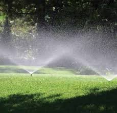 Laskin road stop service adjustment. Https Www Dcwater Com Sites Default Files Landscape 20guide Pdf