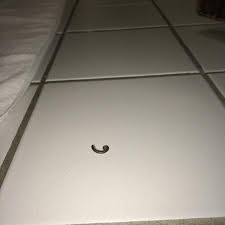 See reviews, photos, directions, phone numbers and more for americas best value inn locations in mariposa, ca. Bed Bug Bytes Picture Of Americas Best Value Inn Yosemite Oakhurst Tripadvisor