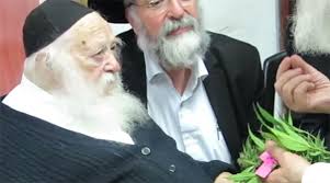 Some Rabbi's May Be Okay With Medical Marijuana; But Only If It's ...