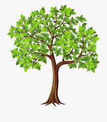 Download 1,221 tree png images with transparent background. Png Clipart Clip Art Tree Background