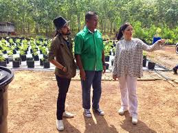 Jul 15, 2020 · 1 visitor has checked in at pro fel air hitam. Felcra Ayer Hitam Bahau N9 Jempol Negeri Sembilan Malaysia Local Business Facebook