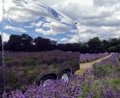 They protect your roof from any insulating and ceramic properties. Master Paint Guard Ceramic Coating Experts