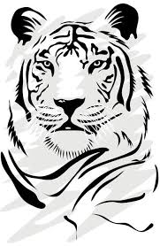 Abstract Black And White Animal Drawings Abstract Animal Line Drawings Google Search Animal Stencil Tiger Stencil Tiger Images