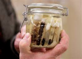 Black widow spider information & identification. What Makes Black Widows So Deadly