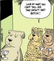 19 Dermatology Jokes Ideas Dermatology Jokes Surgery Humor