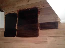 Floor Finishes Renovating A House In Melbourne