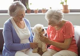 Keeping the elderly at home is a very large commitment that begins with an assessment of their own independence. In Home Senior Care Seniors Helping Seniors Caring Help From Peers