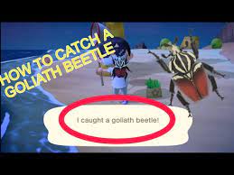 A birdwing is visible on the coconut tree trunk. How To Catch A Goliath Beetle In Acnh Youtube