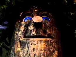 Tuesday, november 29, 2016 at 5:00 p.m. Stew Leonard S Poland Spring Tree Youtube
