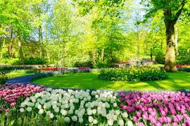 Check spelling or type a new query. Different Kinds Of Flower Beds Learn About Popular Flower Bed Designs