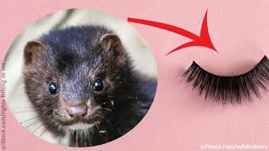 Huge Victory No More Mink Lashes For Sephora Peta In 2020 Animal Abuse Animals Peta