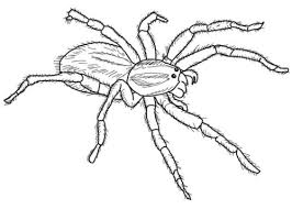 Tractor owners love their machinery. 27 Free Spider Coloring Pages Printable
