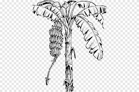 Check spelling or type a new query. Daun Pisang Pohon Pisang Lukisan Cat Air Mamalia Png Pngegg