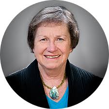 Introduction — Daisies