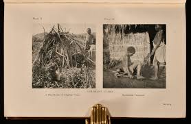 An African People in the Twentieth Century