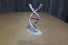 Interactive Dna Model Dna Model 3d Printable Models Model