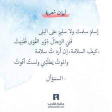 و الموت يطلبني ولست أفوت أبيات رائعة للسم و أل عالم الأدب Words Quotes Ali Quotes Words