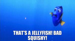 Each squishy toy packed in individual package, within a beautiful gift box stress relief toys: Yarn That S A Jellyfish Bad Squishy Finding Nemo Video Gifs By Quotes E836107c ç´—