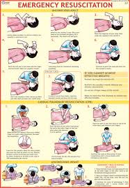 first aid charts exporter manufacturer distributor