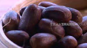 Check spelling or type a new query. Cara Pembuatan Minyak Balur Herbal Si Unyil 28 01 20 Part 4 Youtube