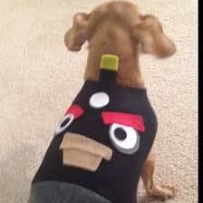 Get it as soon as thu, aug 5. 34 Chicken Nugget Ideas Diy Dog Stuff Diy Stuffed Animals Pets