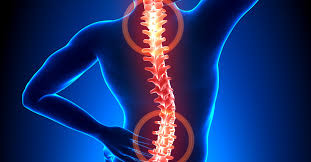 Image result for vyhřezlá ploténka