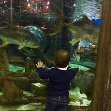 Find all of the stores, dining and entertainment options located at silver sands premium outlets®. Bass Pro Shops Aquarium Fun 4 Emerald Coast Kids