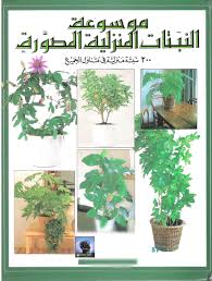 برقية انتظر غمر نباتات الزينة المنزلية pdf dsvdedommel com