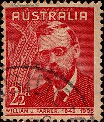 Australia William J Farrer 1845 1906 Wheat Researcher Scott 213 A53 Issued 1948 July 12 Perf 14 1 2x14 2 Postage Stamps Postal Stamps Australia