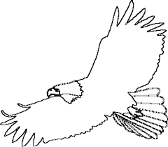 Download coloring pages eagle coloring page eagle coloring page. Realistic Eagle Coloring Pages Coloring4free Coloring4free Com