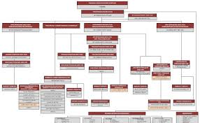 Pengerusi pusat kajian & ketua program. Contoh Carta Organisasi Klinik Kesihatan Contoh Bow Cute766