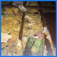 Nj attic and crawlspace clean up of insulation, rodent infestation and rubbish. Insulation Contractor Rodent Proofing Nj Pa Master Attic