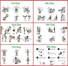 printable dumbbell workout online charts collection