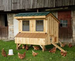 Amish Natural Quaker Chicken Coop 4 X 6 Chicken Coop Blueprints Chicken Coop Plans Chicken Coop Pallets