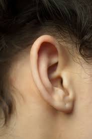 Pin By Thomas Broen On Drawing Inspiration Ear Ear Piercings Hair Access