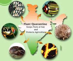 Pest Quarantine Pest