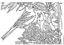 Add the shredded wheat or noodles to the melted chocolate. Coloring Page Bird With Nest Free Printable Coloring Pages Img 3405