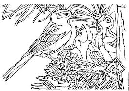 Print and color spring pdf coloring books from primarygames. Coloring Page Bird With Nest Free Printable Coloring Pages Img 3405