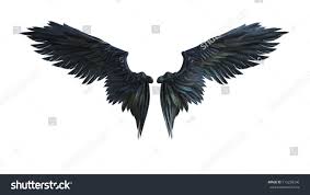 Black And White Wings Background 3d Illustration Demon Wings Black Wing Plumage Isolated On White Background Sponsored Affiliate Wings Blac Demon Wings Angel Wings Drawing Wings Drawing