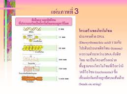 We did not find results for: Ppt à¹€à¸£ à¸­à¸‡à¸ªà¸²à¸£à¸ž à¸™à¸˜ à¸à¸£à¸£à¸¡ Powerpoint Presentation Id 1018206