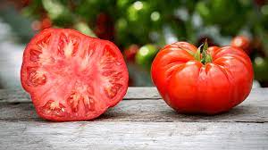 It is best planted in early spring and can be harvested in 60 days. How To Grow Beefsteak Tomatoes In Pots Slick Garden