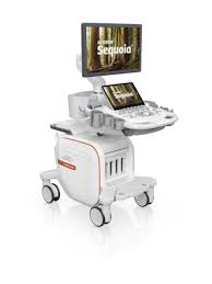 Ultrasound Study Day