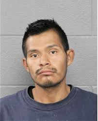 ᐅ Illinois Criminal Records 2009-2025