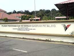 Check spelling or type a new query. Cerita Tentang Aku Byte Ke Hospital Vet Kerajaan