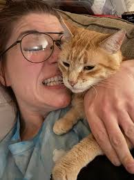 found friendly male German Shepherd mix? super friendly super clean but he  didn't want to go back out in the rain. Hot Springs Albert Pike