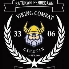 Download Offical Viking Combat Officalvikingcombat Profil Pinterest
