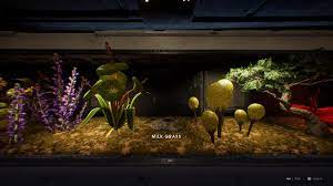 Go back to the crash site on zeffo after unlocking the double jump. Solved Star Wars Jedi Fallen Order Terrarium Plant Growth Bug Solved Answer Hq