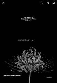 First of all, the bulbs are poisonous and in the cultures of east asia this flower is associated with the dead. Someone Know The Names Of The Flowers Used For Symbolism Relating To Kaneki In The Tokyo Ghoul Manga The Red Spider Lily Is One Forgot The Name For Kaneki Vs Aroma Flower If