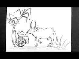 Mattu Pongal Drawing Pongal Festival Drawing Cow Drawing For Pongal Pongal Pot Drawing Youtube Draw Youtube